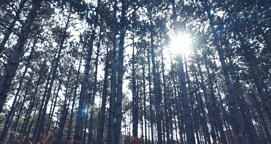 The film was made in three days by UW-Stout video production major Simon Anderson. The photo was shot in a Pierce County forest.