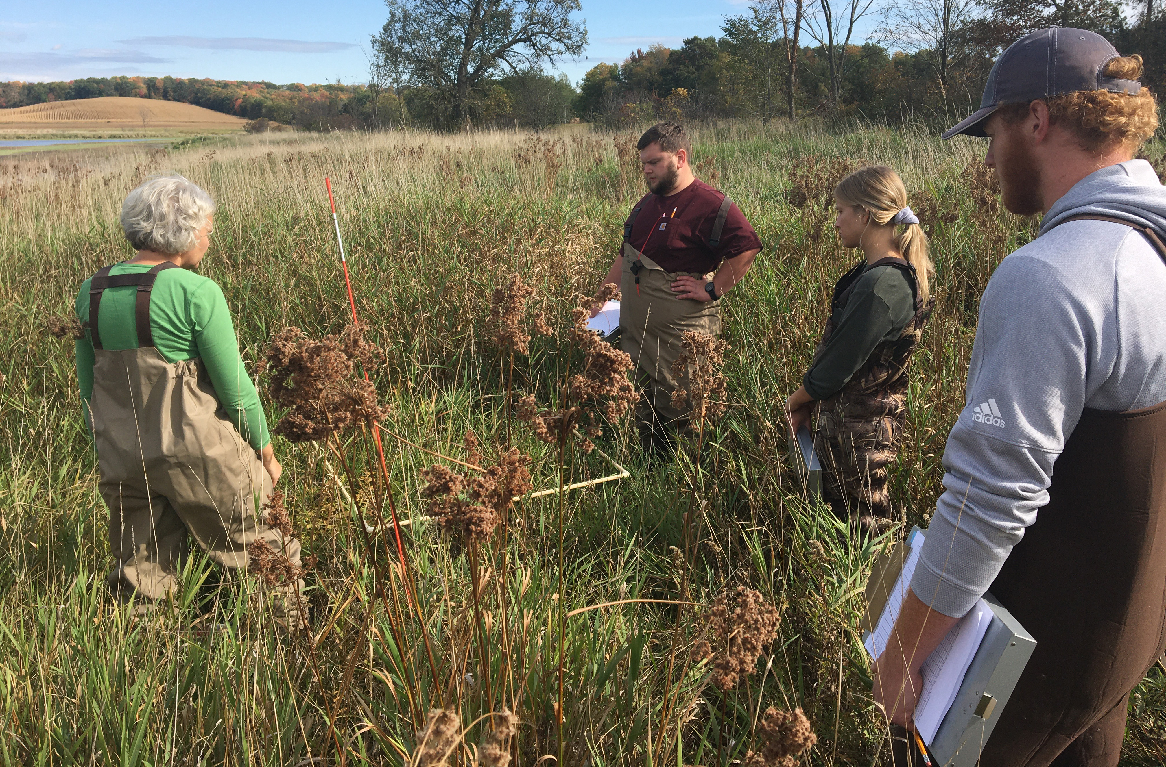 Students perform fieldwork in regional grasslands