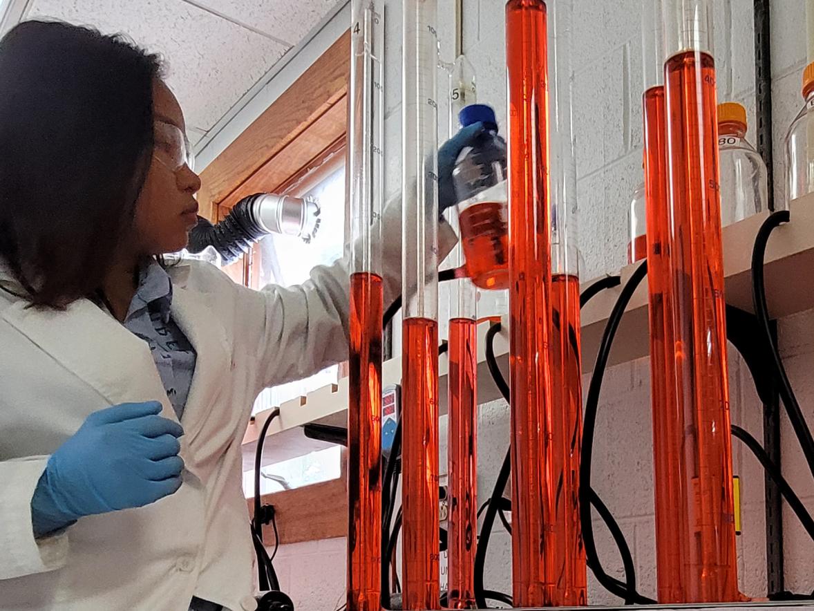 An Nguyen, a UW-Stout student from Vietnam, works in the ERIC lab at UW-Oshkosh last summer as part of a Freshwater Collaborative of Wisconsin program.