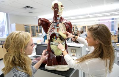 Anatomy and Physiology course at UW-Stout